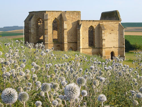 Beller Kirche mit Kugeldisteln